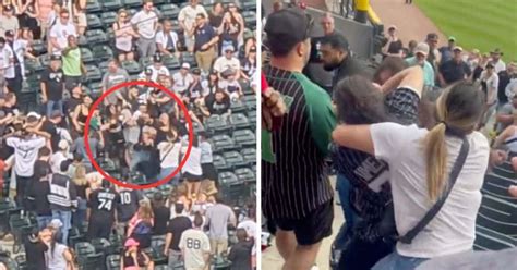 chicago white sox fan fight